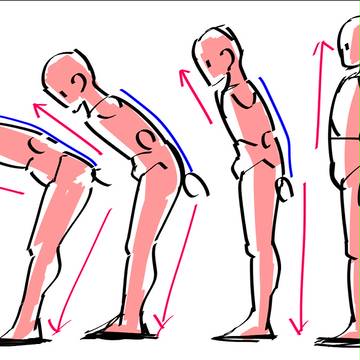 お辞儀の際の背骨と足 です。(側面