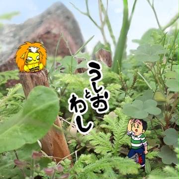 オンリー新刊通販開始のお知らせ