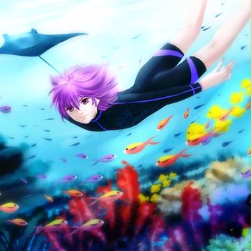 海