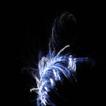 No.89 Feather