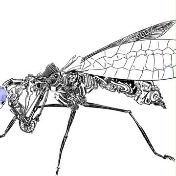 メカマキリ