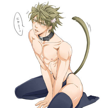 Neko Akihito