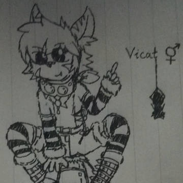 Spider cat vika