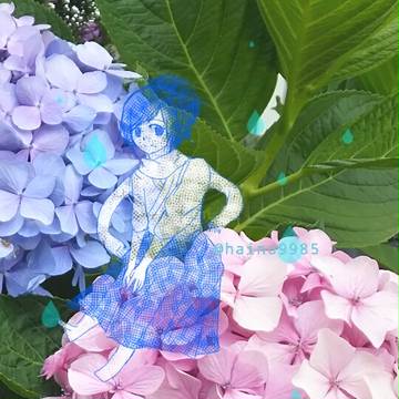 紫陽花と神様