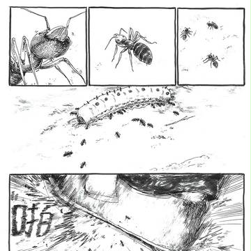 分镜