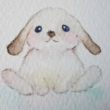 うさぎ