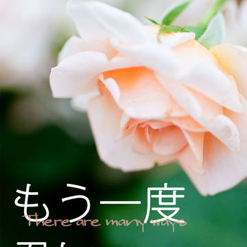 【火アリ】もう一度君に、キスを【新刊サンプル】