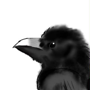 カラス