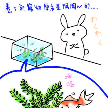 養魚日記