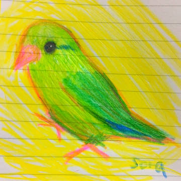 鳥挿絵用