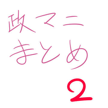 政マニまとめ2