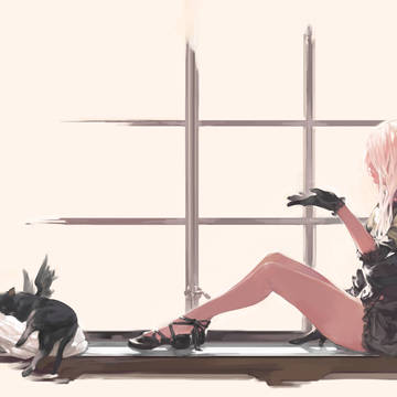 猫