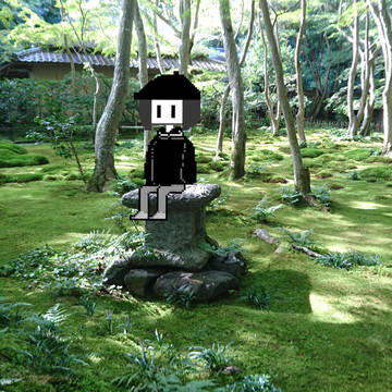 ドットと写真