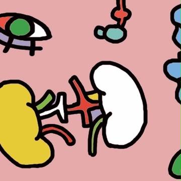 脏器