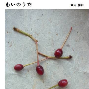 ホトガラぽえむ集『あいのうた』