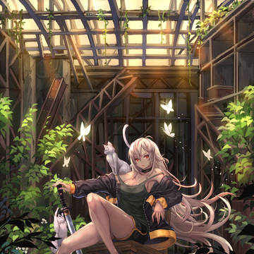 D&F