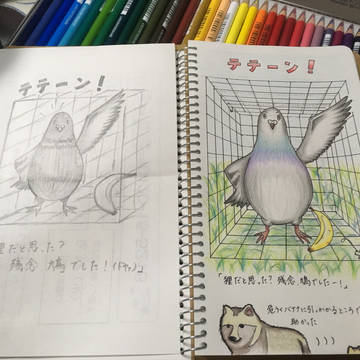 自ら罠にかかる鳩