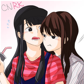 CNRK log1