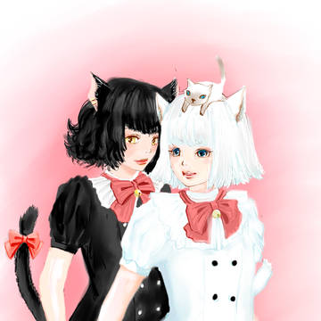 白猫ちゃんと黒猫ちゃん