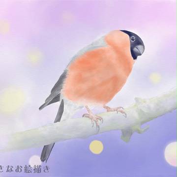 夜明けの鳥(鉛筆+水彩)