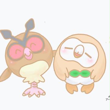 ふくろうのコンビ