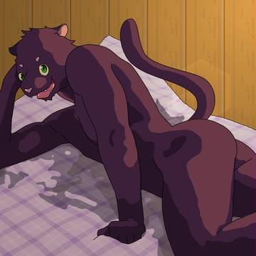キャンドルナイト