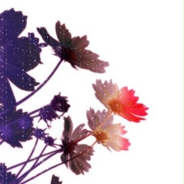 【小説用背景】お蔵出し詰め合わせ