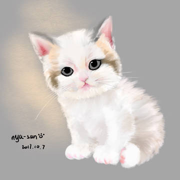 コネコ