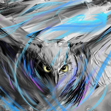 Owl Tempest