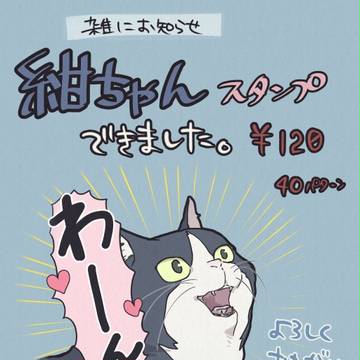 【LINEスタンプ】　紺ちゃんスタンプできました！
