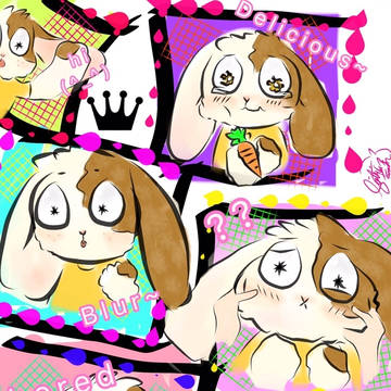 Bunny (^o^)/