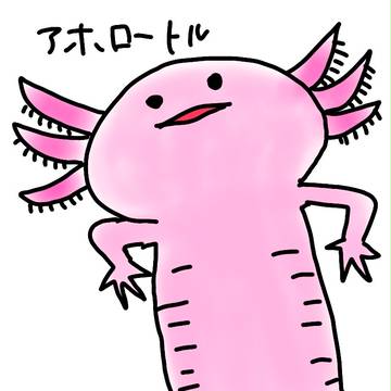 ウーパールーパー
