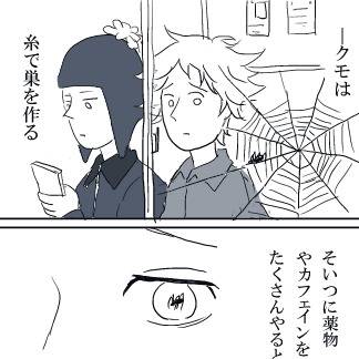 クモの巣の話