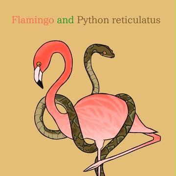 Flamingo and Python reticulatus