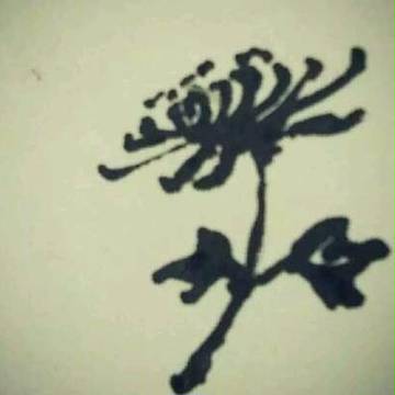 额...菊