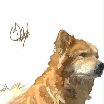 my dog