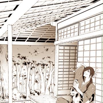 先生と猫又