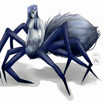 Spider