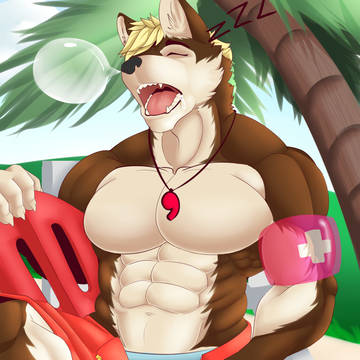 Lifeguard v2 (remake)
