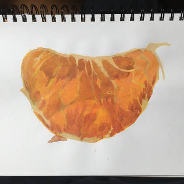 みかん 蜜柑 🍊