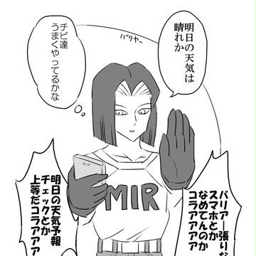 17号詰