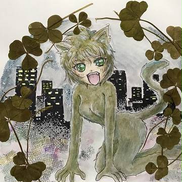 真夜中の活動
