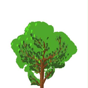 木
