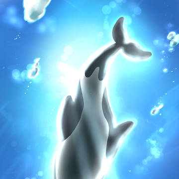 シャチ