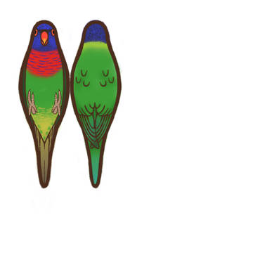 ゴシキセイガイインコ