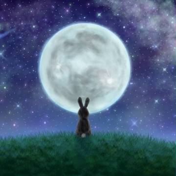 月とうさぎ🐰