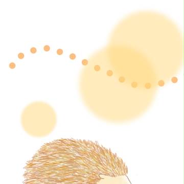 ハリネズミ