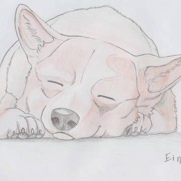 Ein