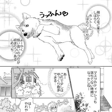 犬と暮らそう～保護犬預かり中～