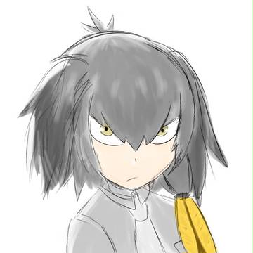 ハシビロコウ